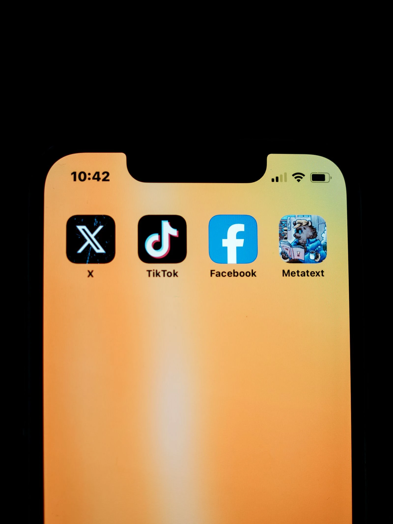 Smartphone screen displaying social media platform apps