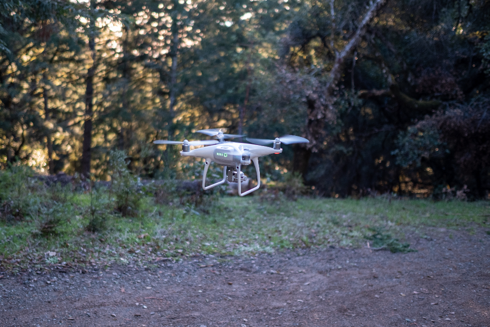Drone hovering above a forest trail