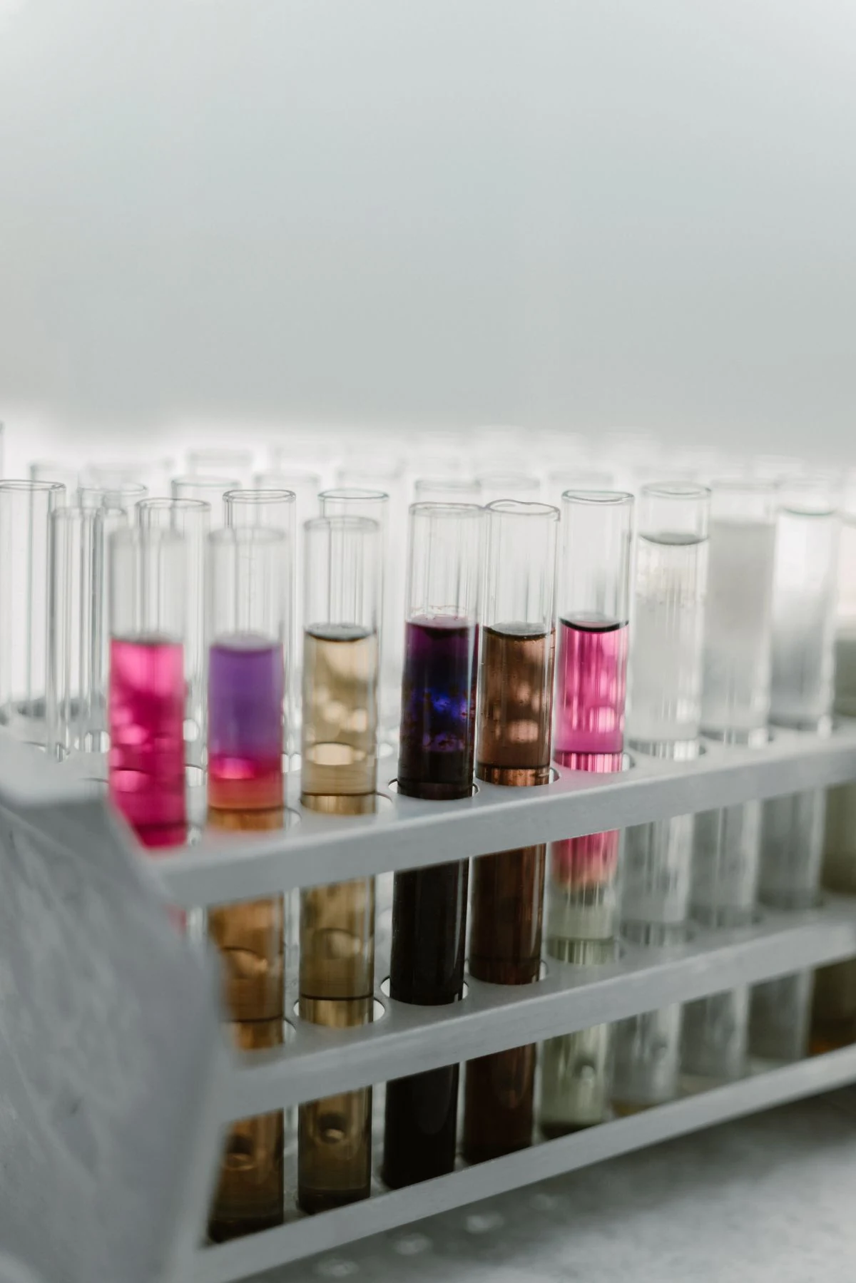 Rack of colorful lab samples representing a new biotechnology venture