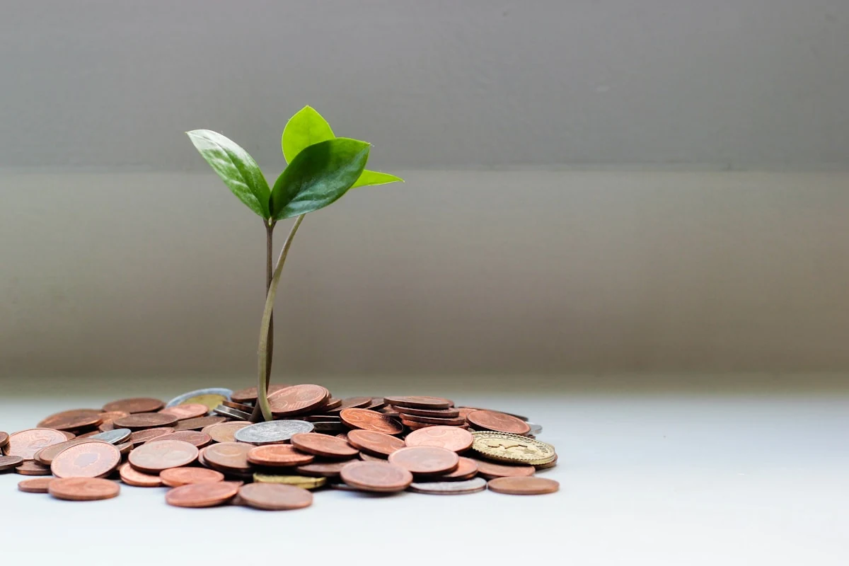 Financial Businesses