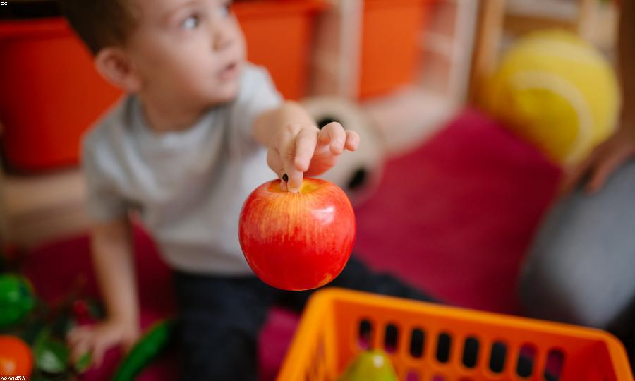 Preschool branding