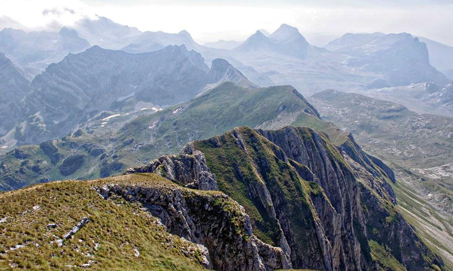 Lighting installation branding