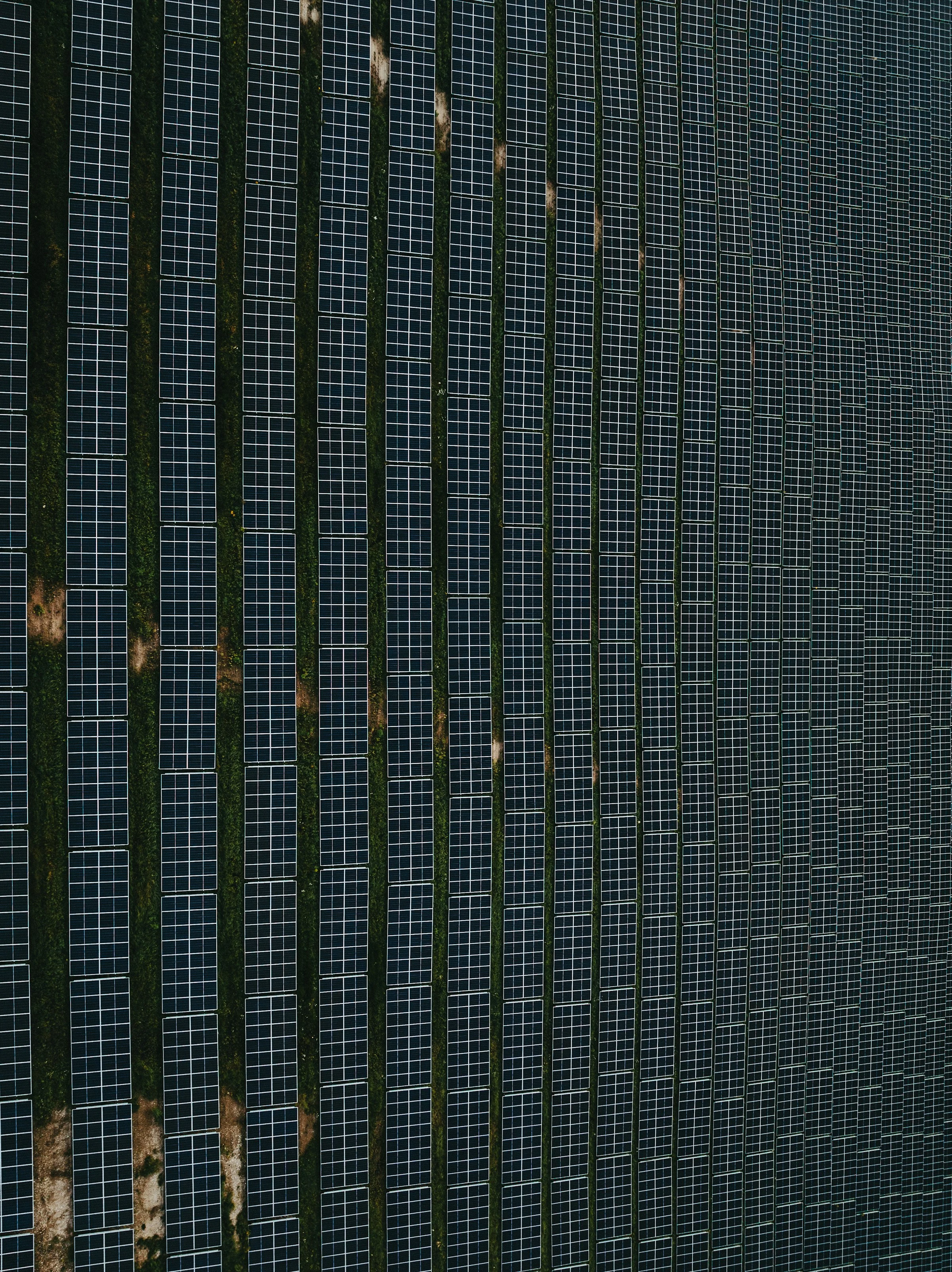 Aerial view of a large solar panel farm generating renewable power