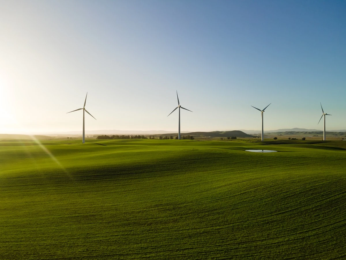 Wind turbines in a green field