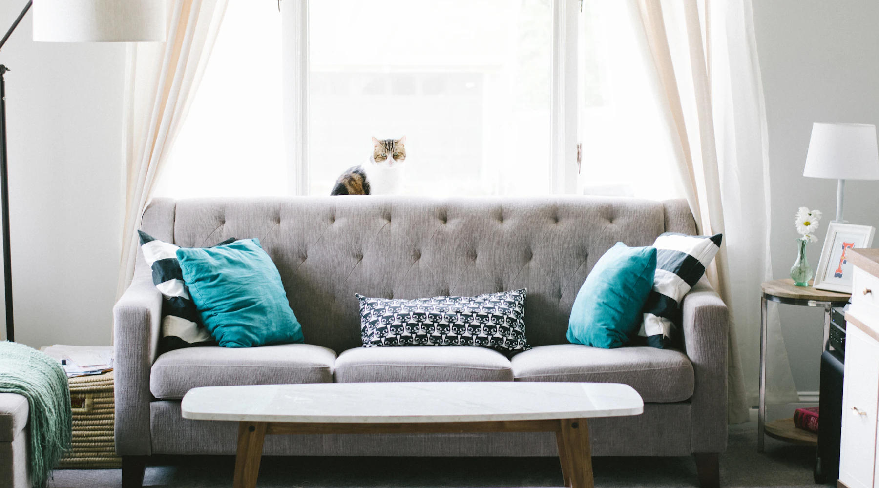 Stylish modern living room with premium furniture and interior design
