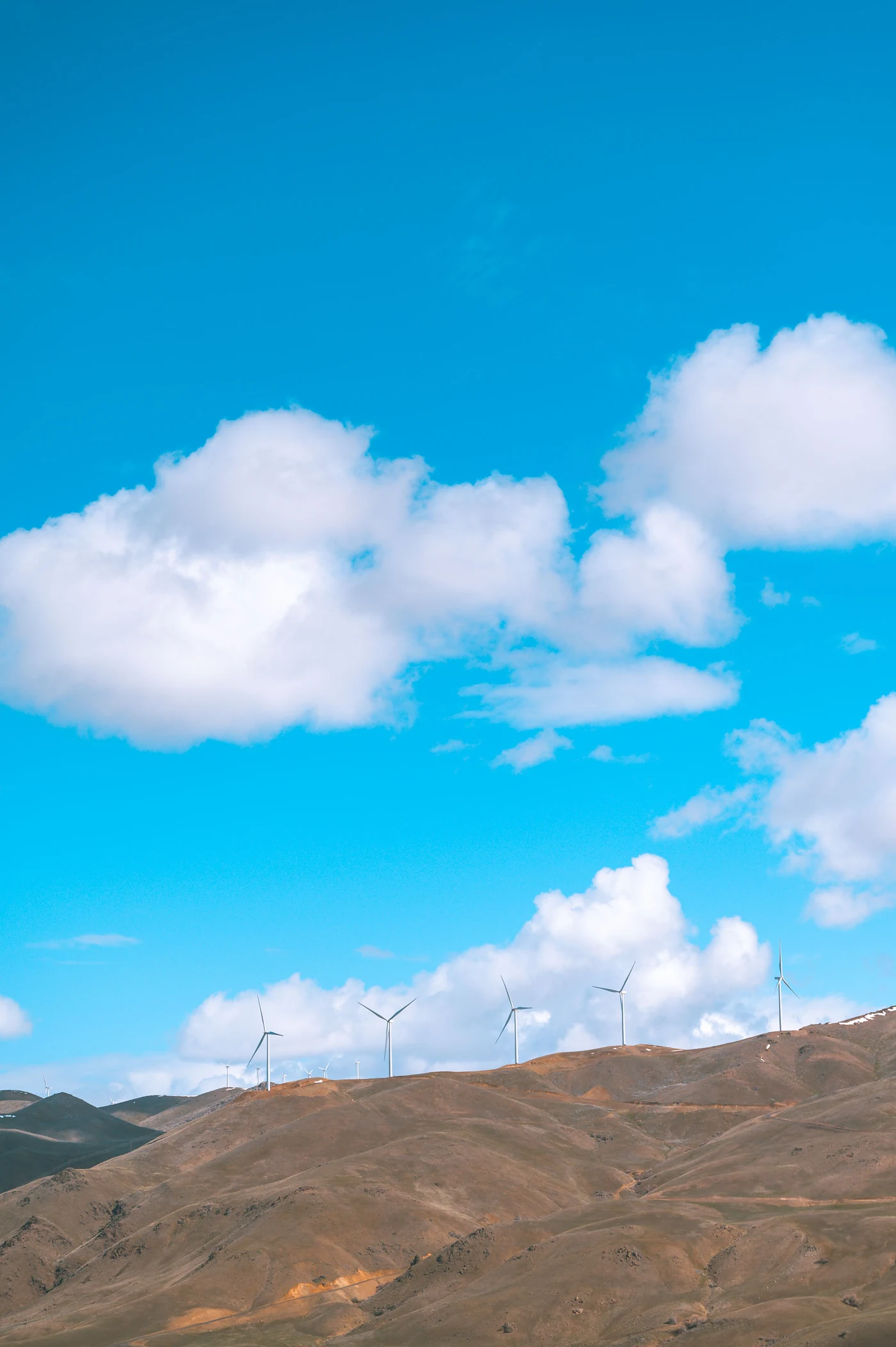Wind turbines representing environmental sustainability programs