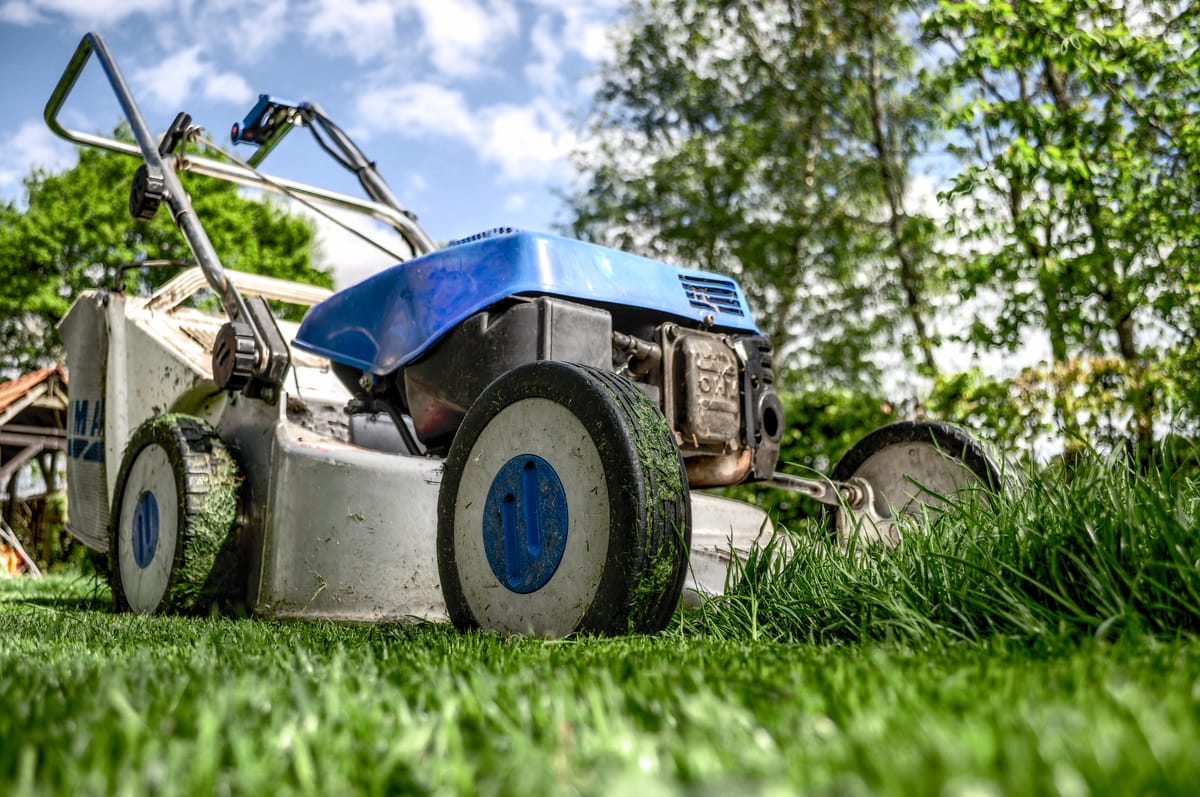 Landscaping company brand launch case study