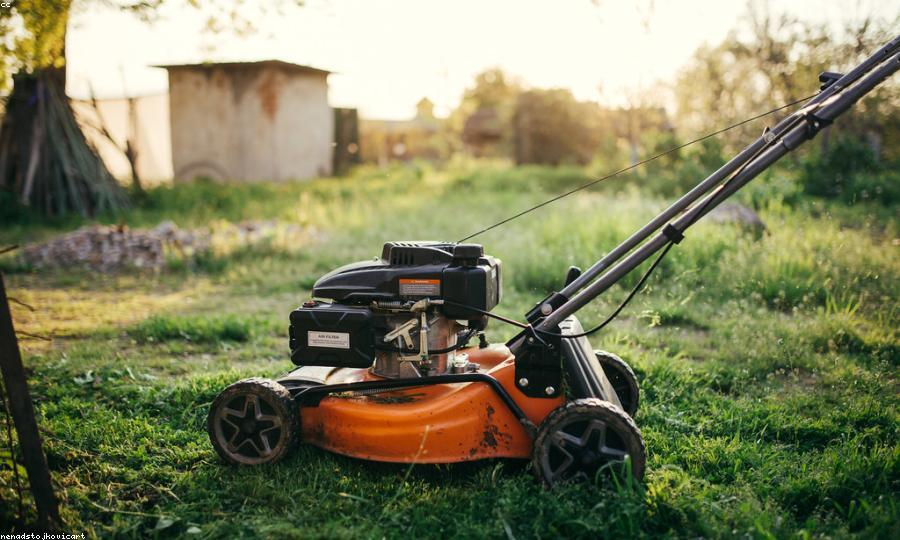 Lawn care company branding