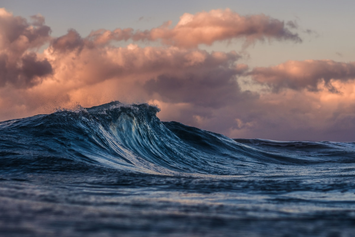 Fishing charter brand launch case study