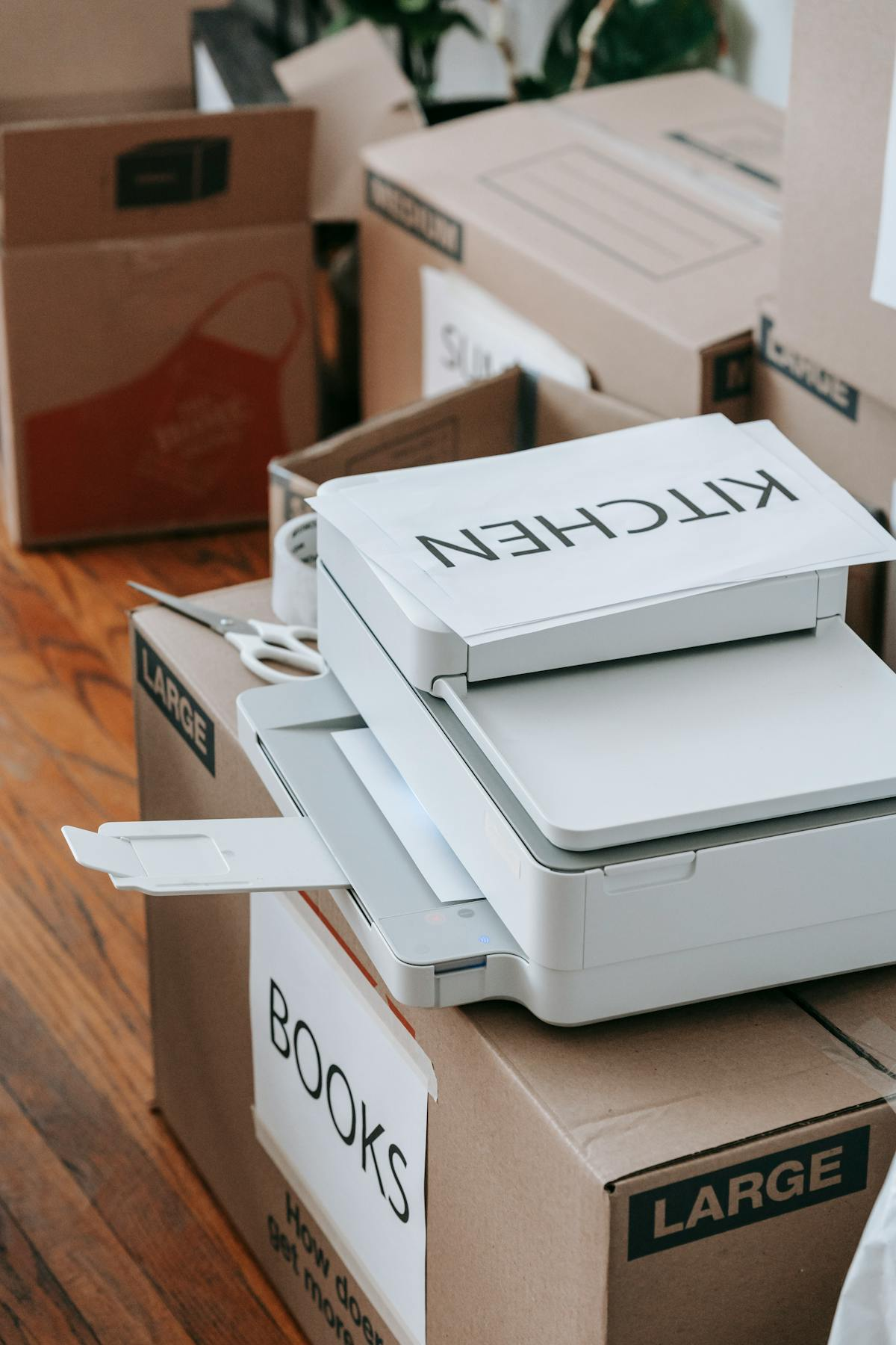 Packaging brand launch case study