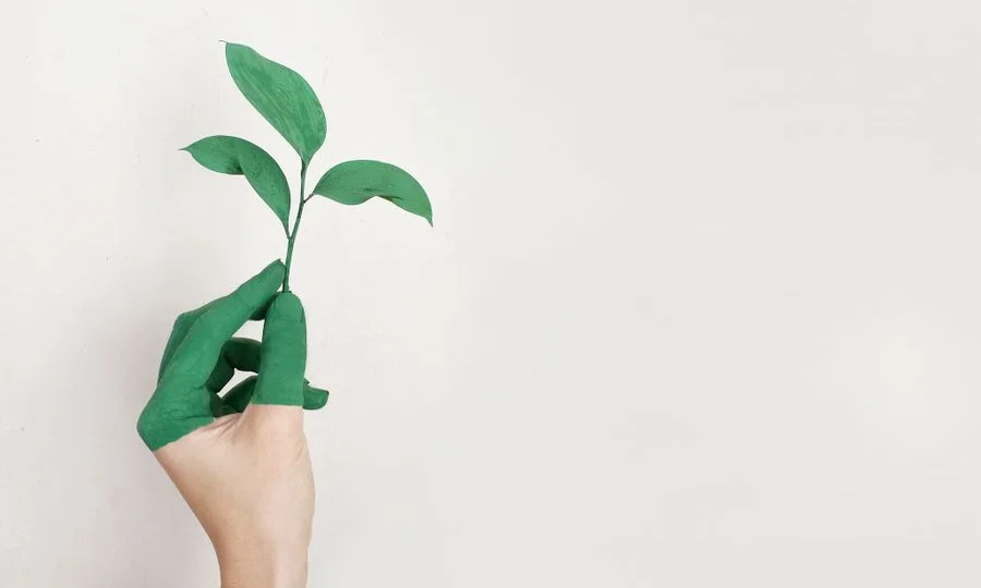 Paper recycling companies branding