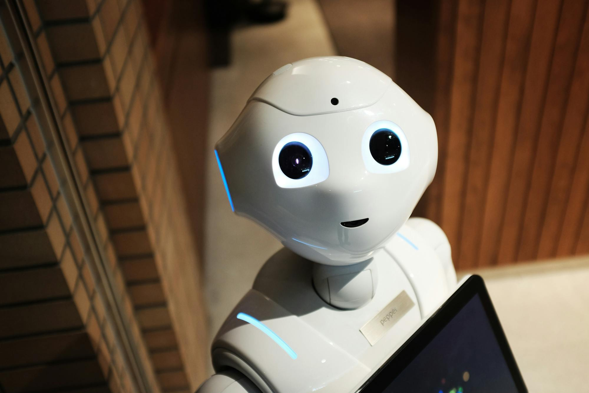 Robot manufacturer engineering facility