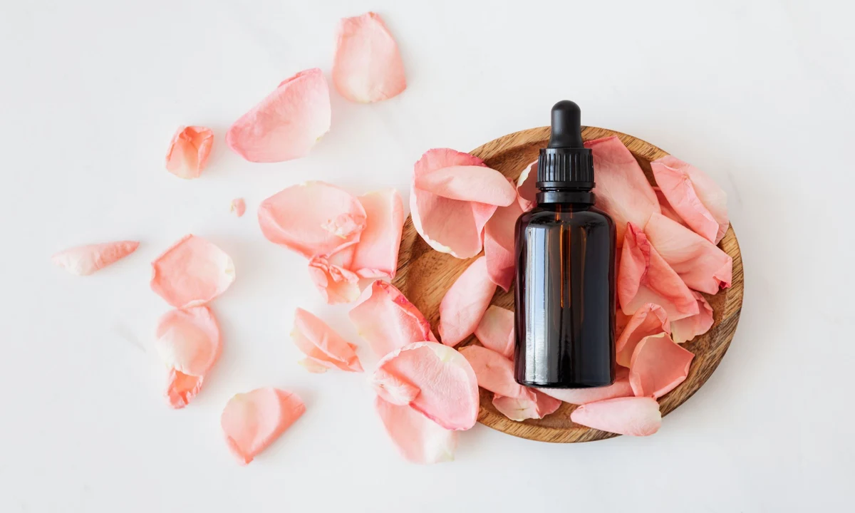 Flat lay of natural organic skincare and botanical beauty products for brand launch