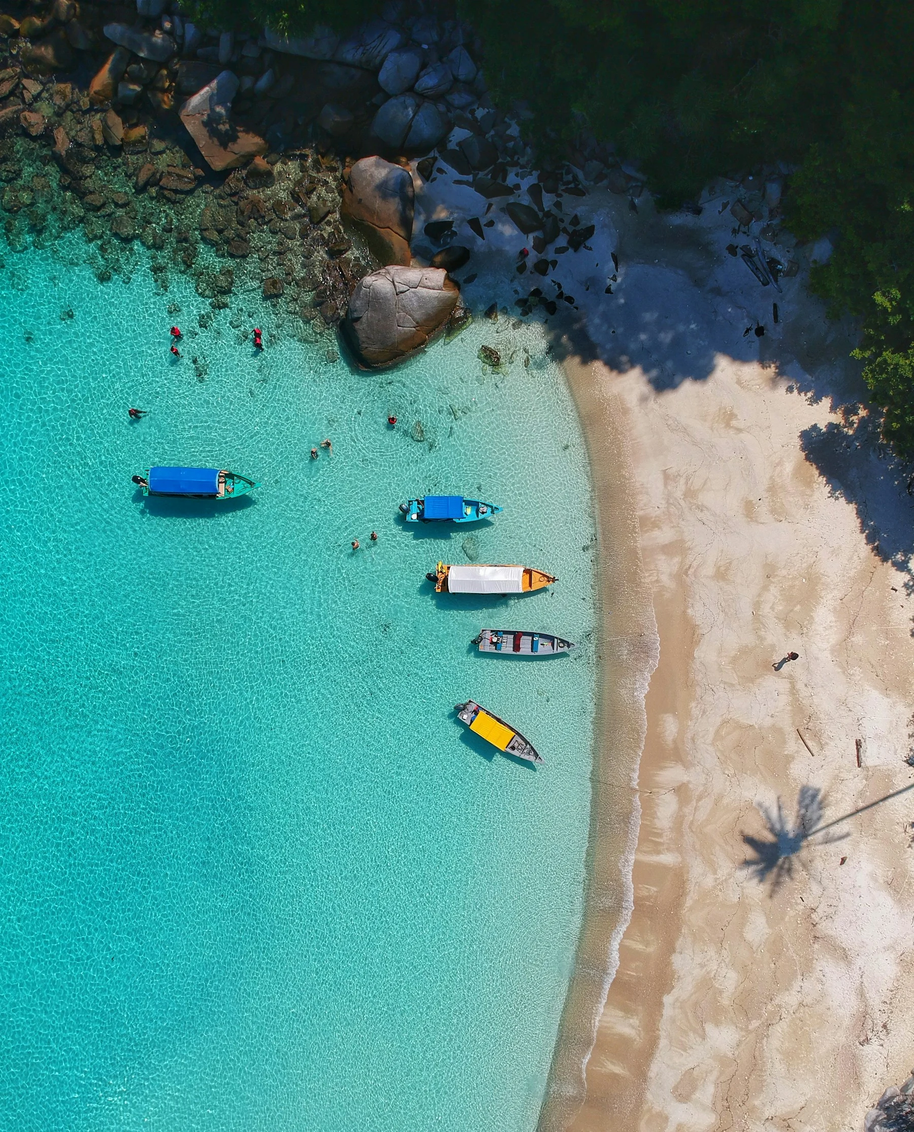 Scenic travel coastline for tour company branding