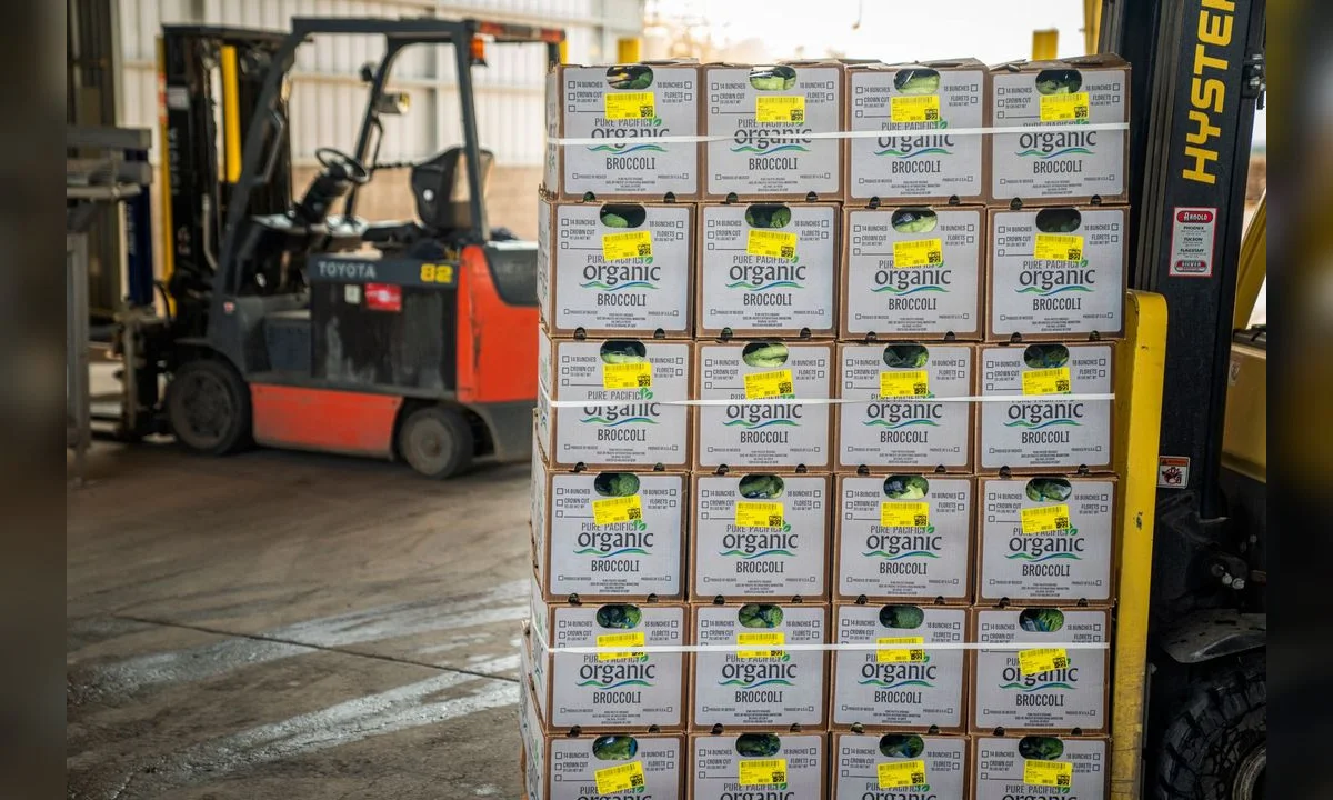 Warehouse logistics team managing distribution and inventory operations