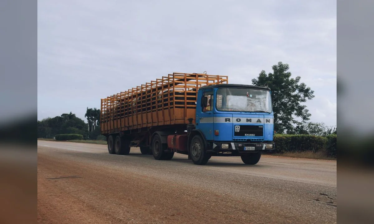Semi trucks on highway for trucking fleet rebrand case study