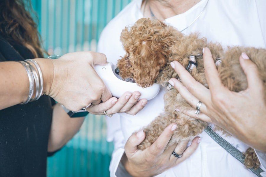 Pet wellness brands branding